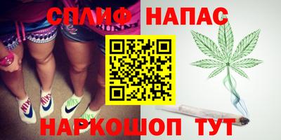 Альфа ПВП Обь