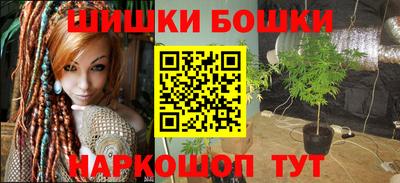 Альфа ПВП Обь